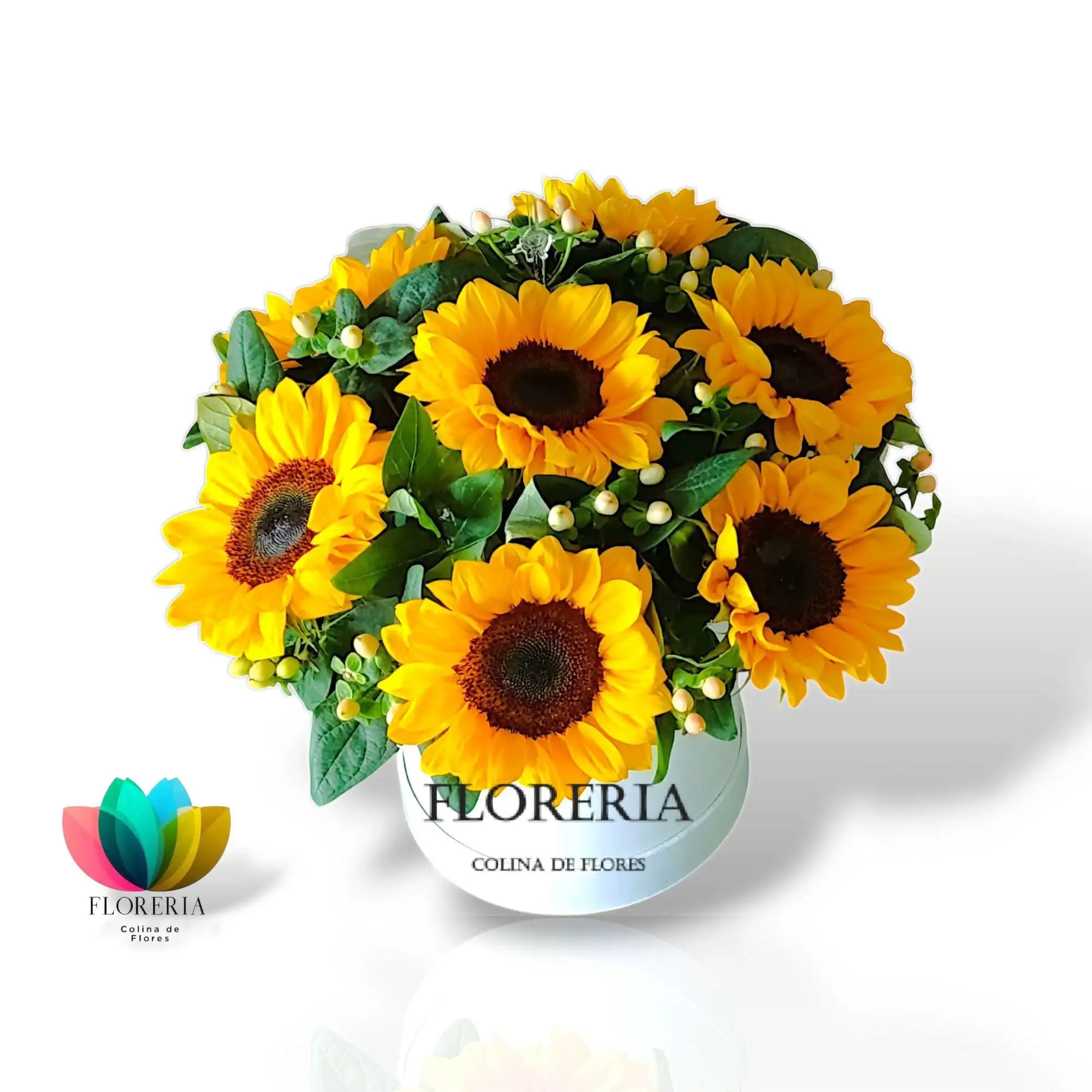 Box girasoles