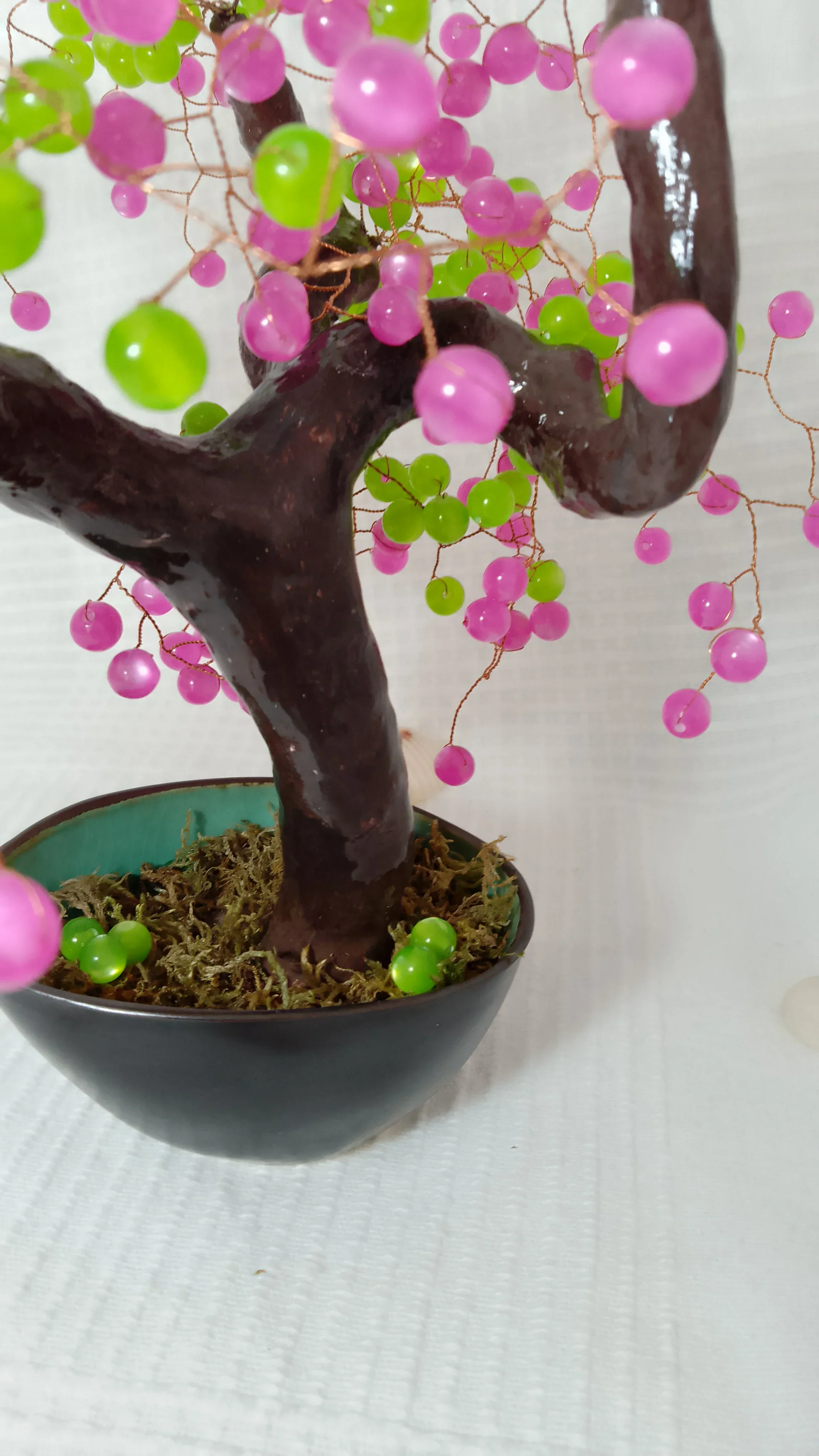 Bonsai Chocolate Fucsia 5