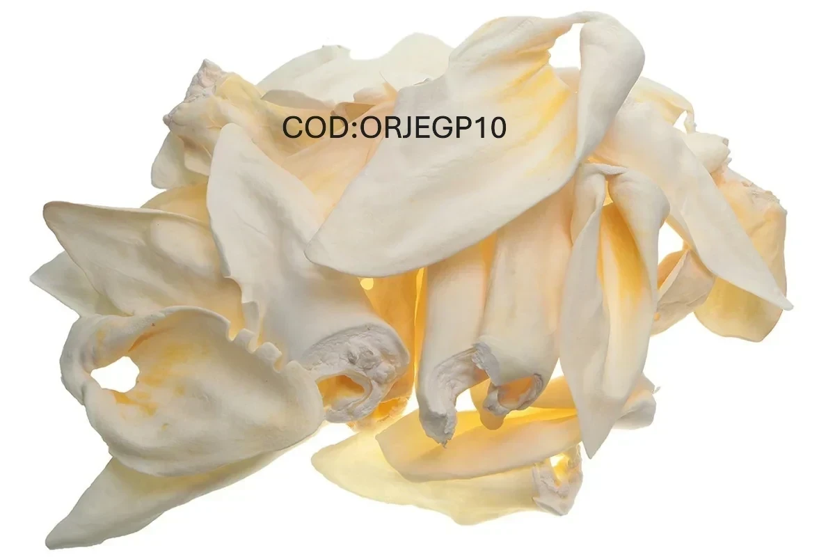 Oreja extra grande  premium 10 unidades 