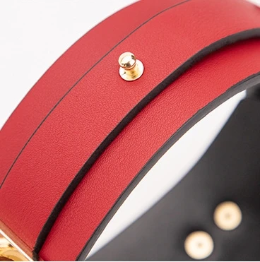  Collar and Leash Red 2