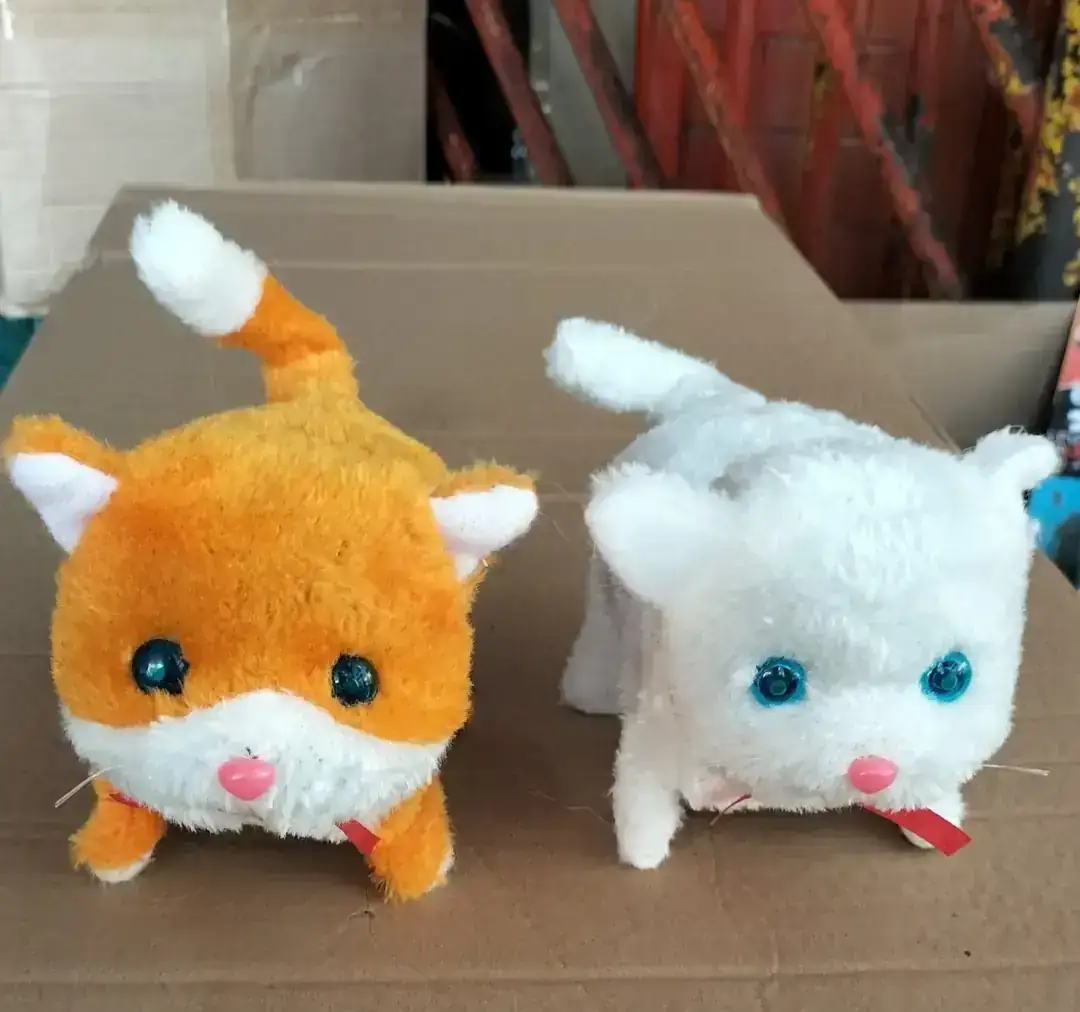 Gatos con movimiento  2