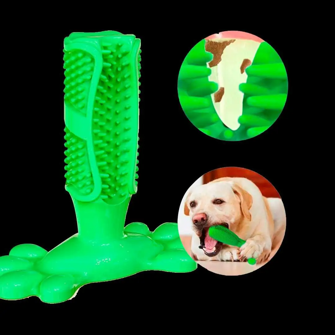 DENTAL DOG