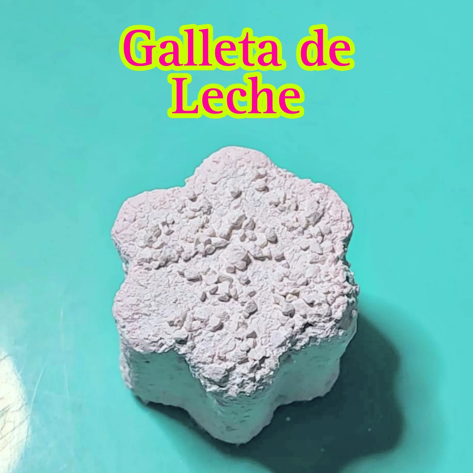 Galleta de Leche