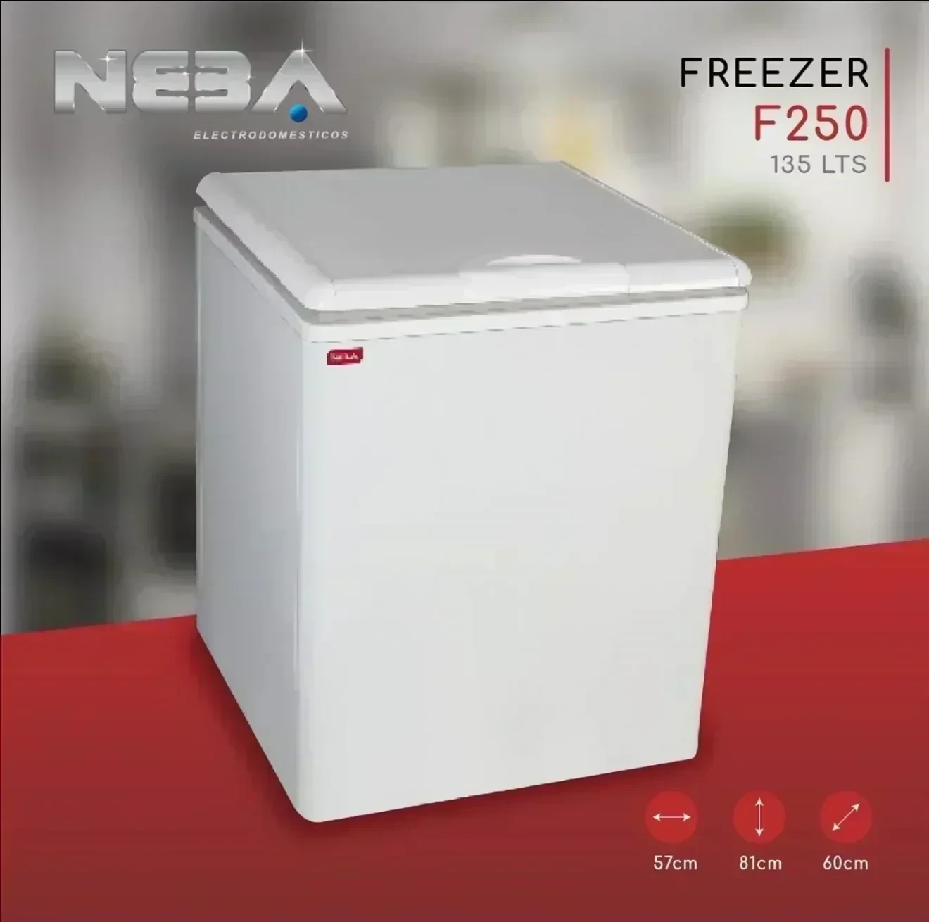 FREEZER NEBA F250