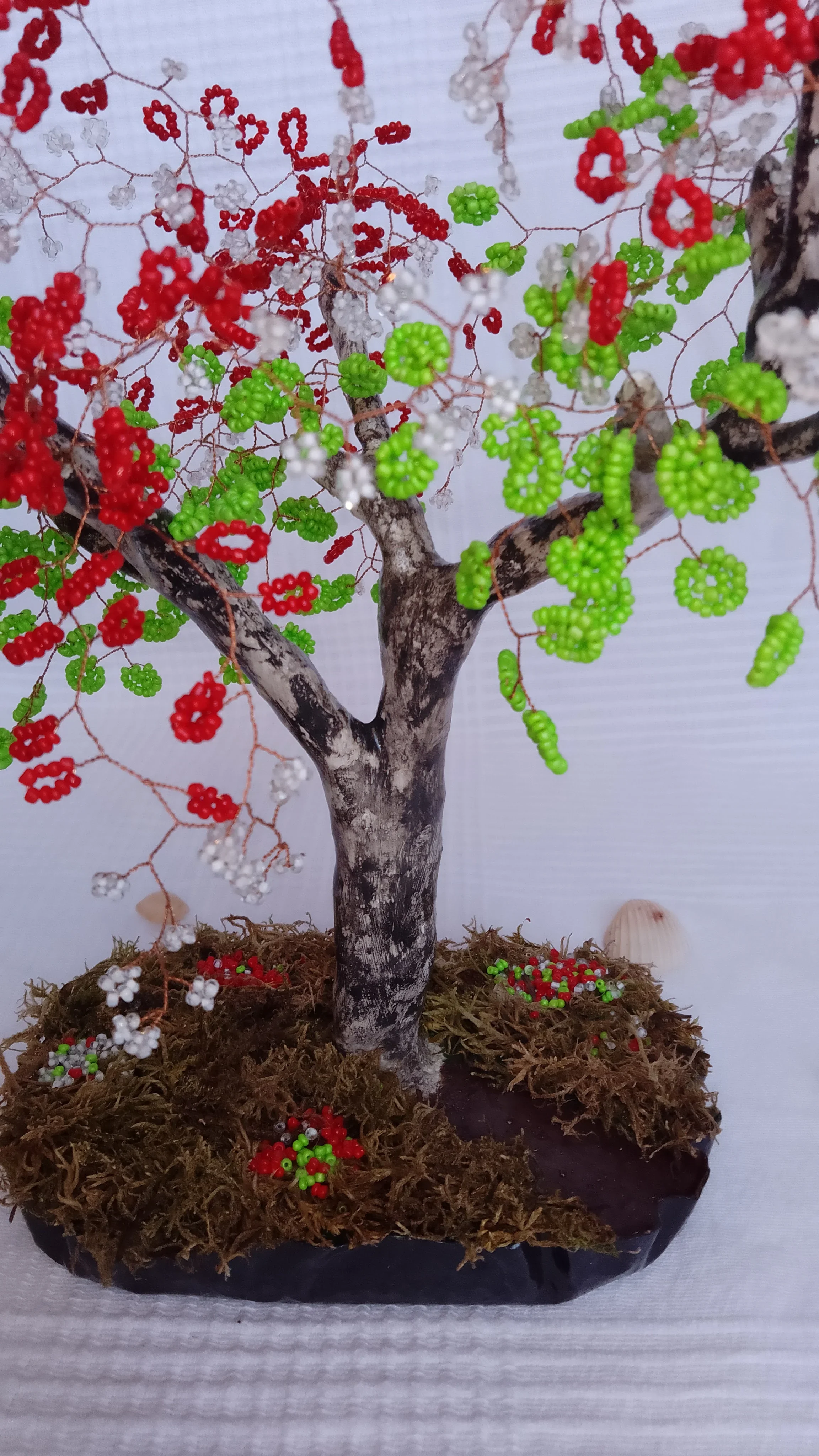 Bonsai Primavera roja 4