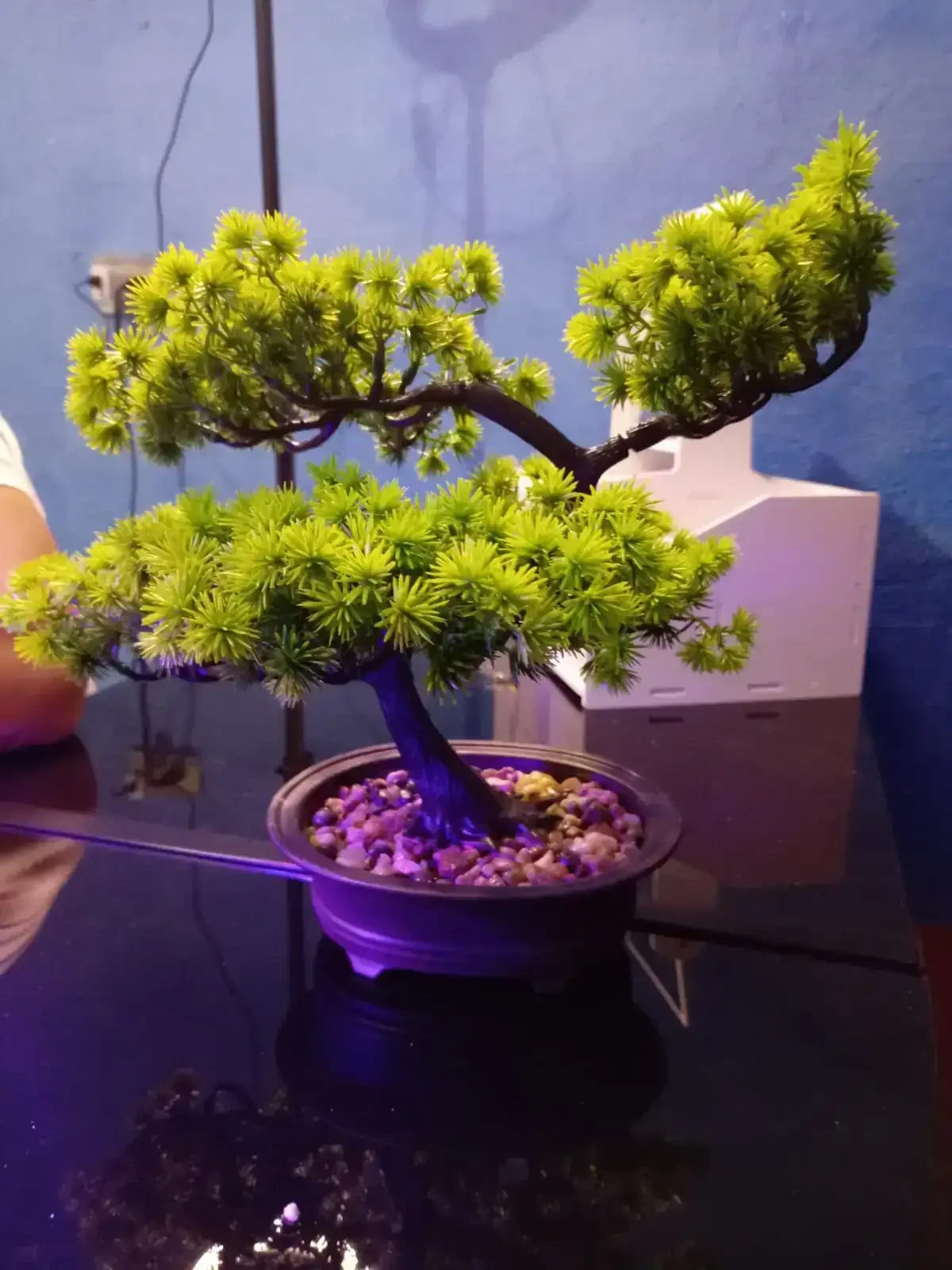 Bonsai artificial 