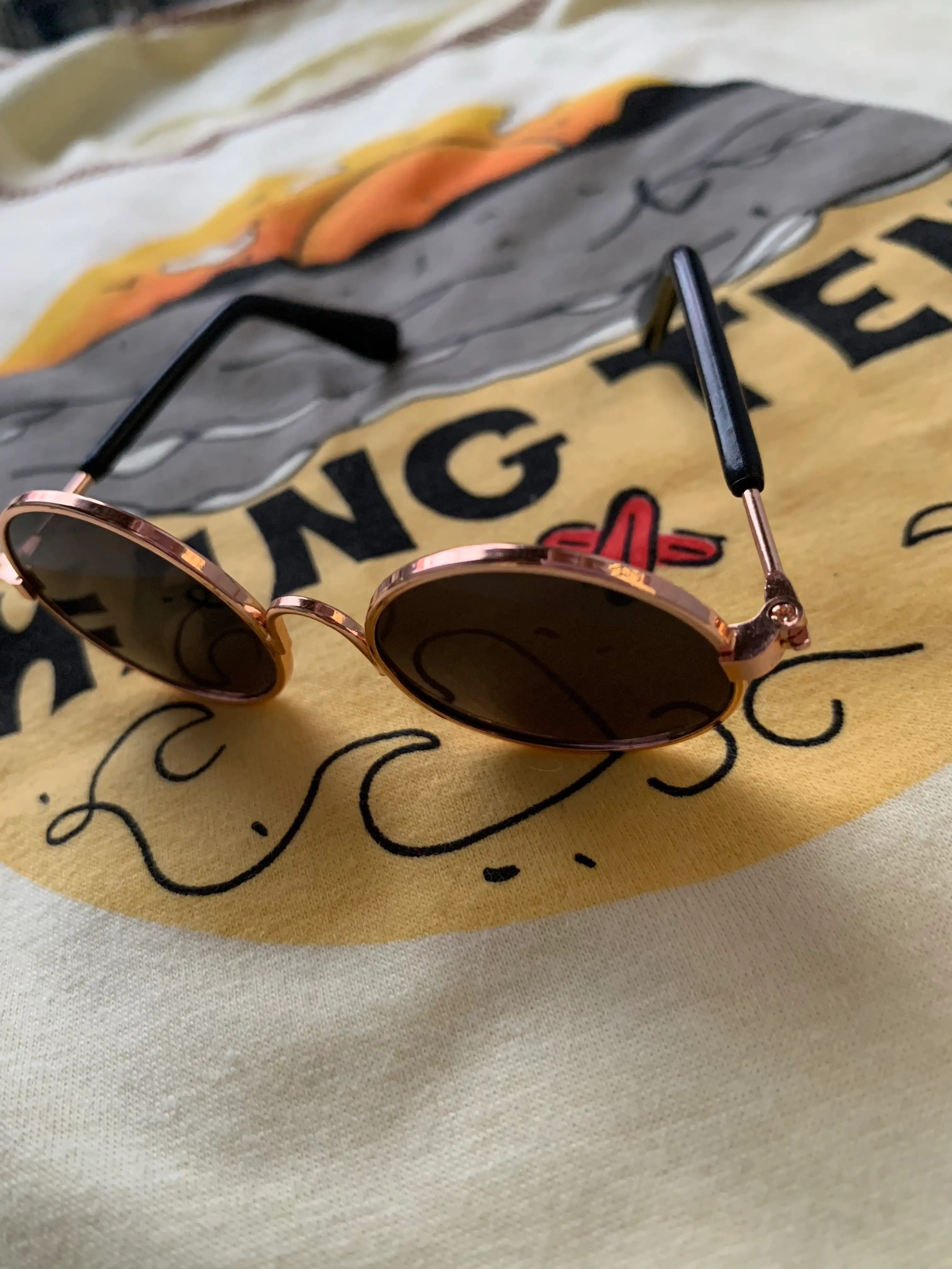 Gafas mascotas 3