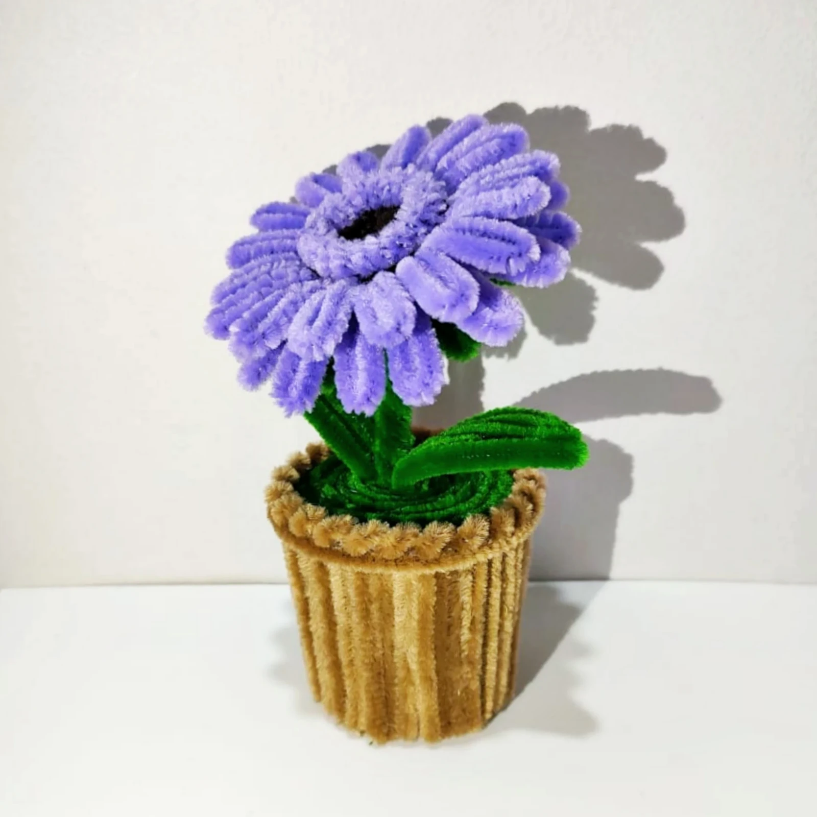 Macetita de Gerbera 3