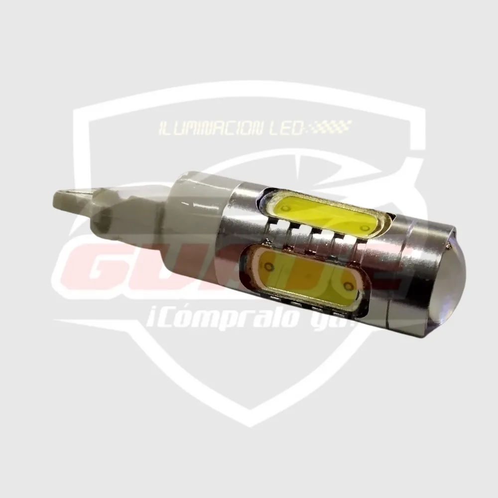 T20 LUPA BLANCAS  2