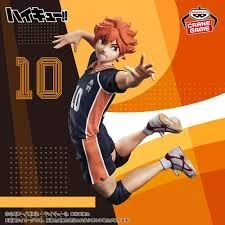 Shoyo Hinata