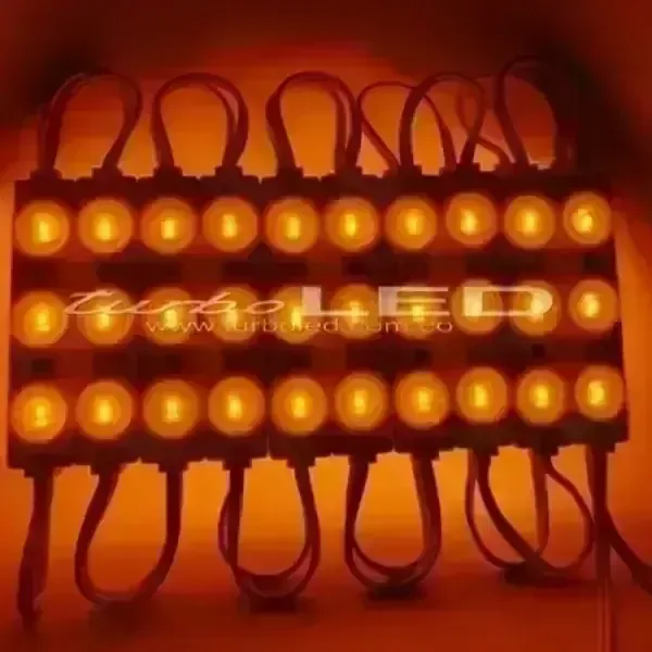 MODULO ECO LUPA 12V (103001)
