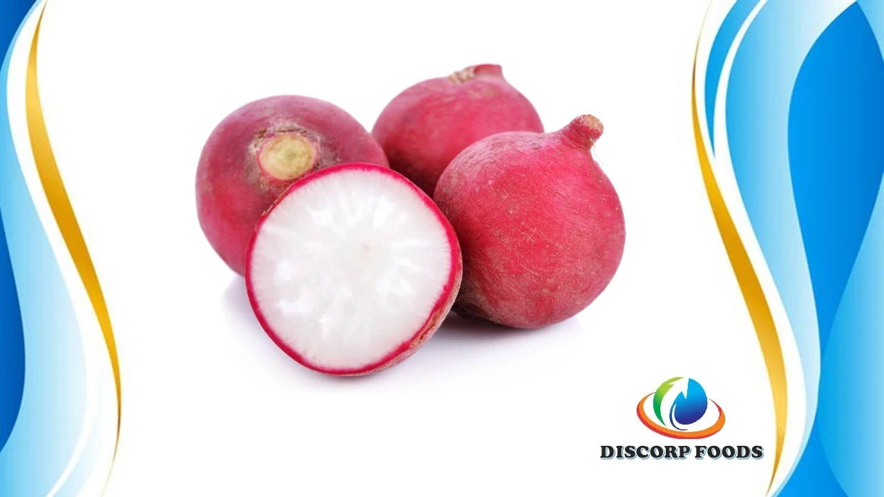 RABANITO