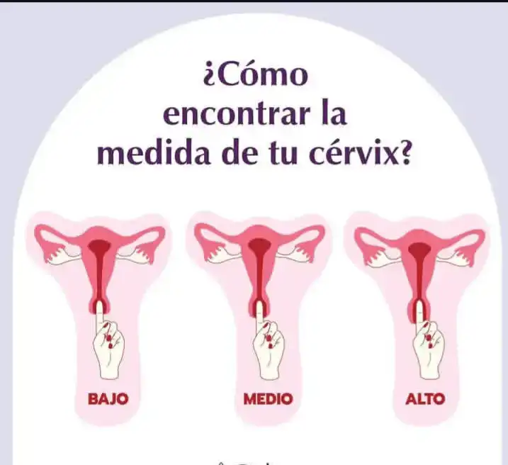 Mide tu cervix 