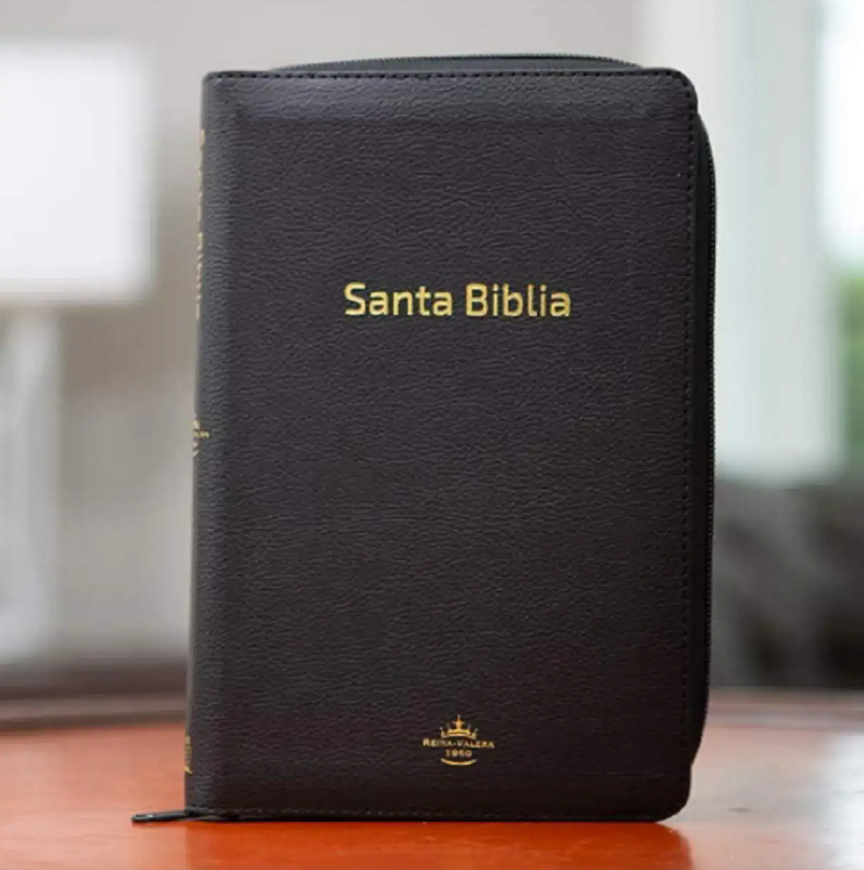 Biblia portátil con cierre RVR60 6