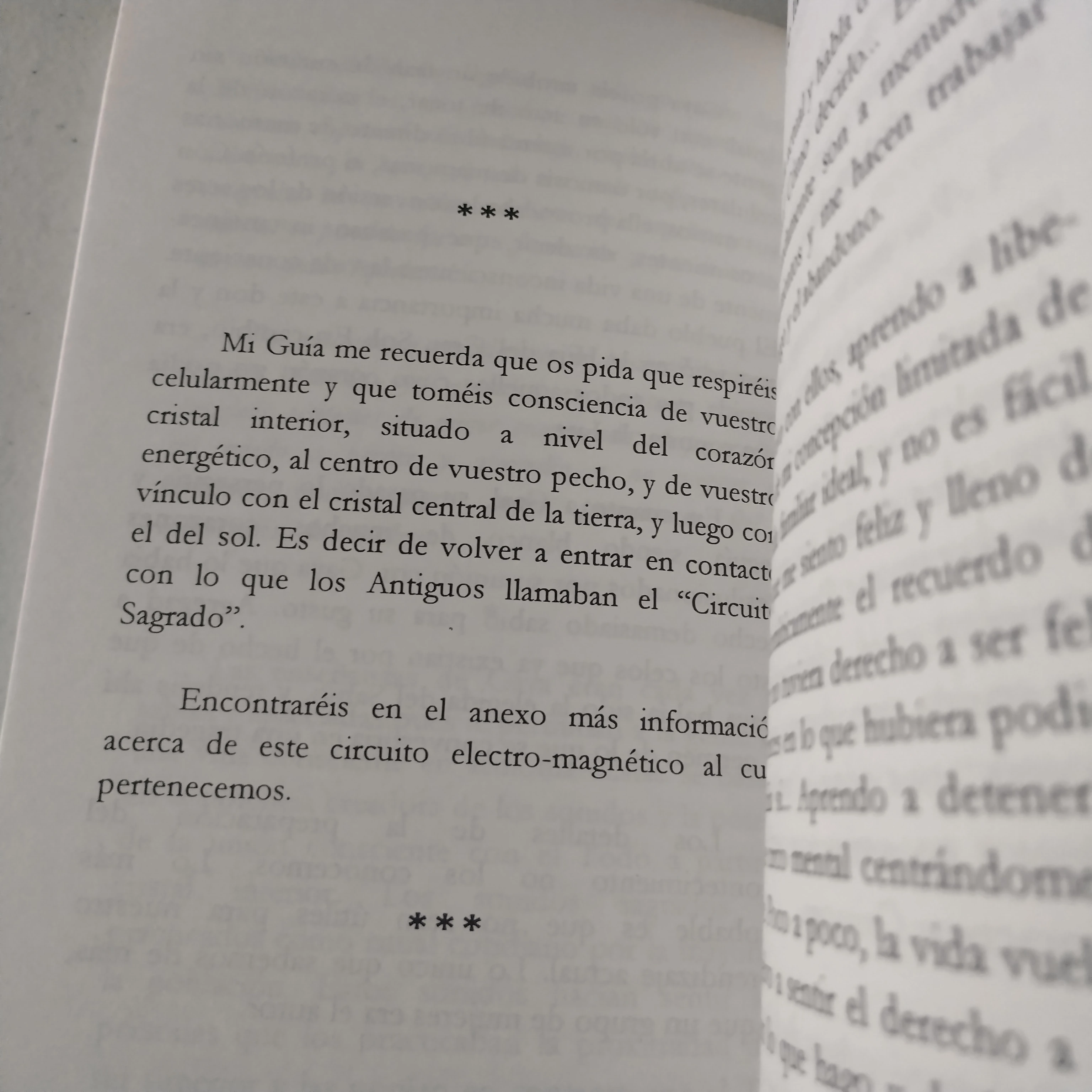 Ojja, Gaal y Gaya, usado 3