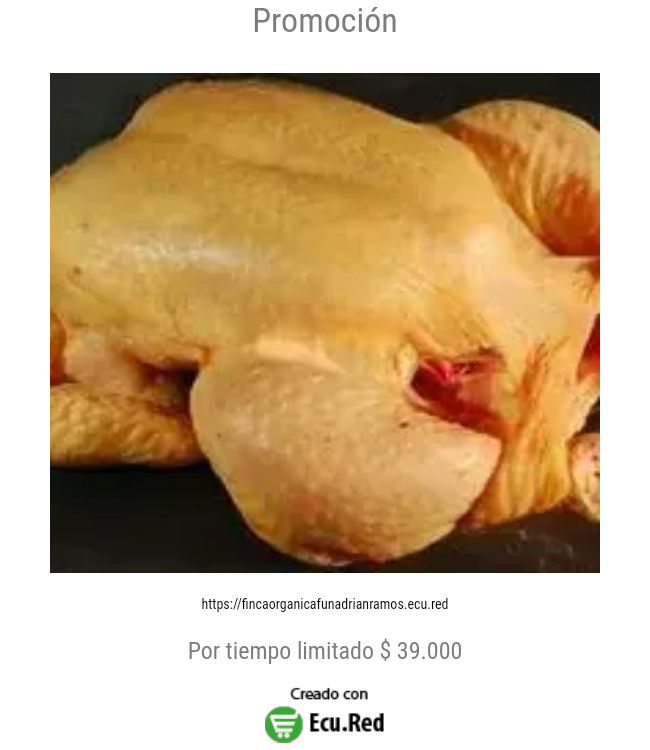 Promoción
