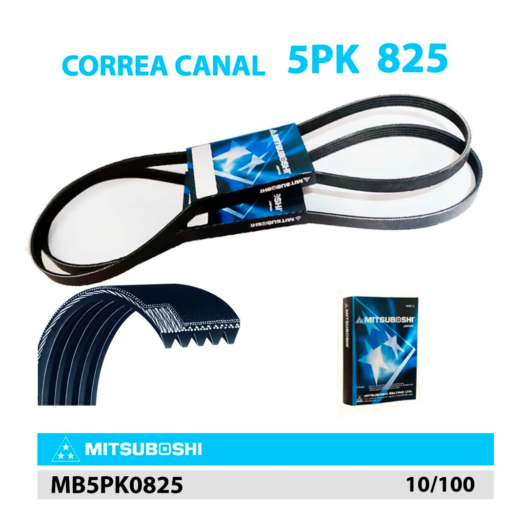 CORREA MITSUBOSHI 5PK 825
