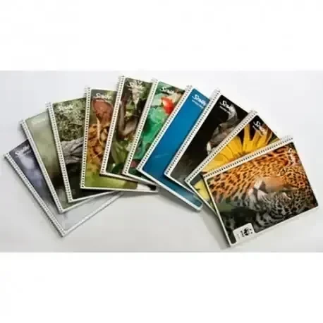 Cuaderno francesa c5 mega 100 hojas espiral 