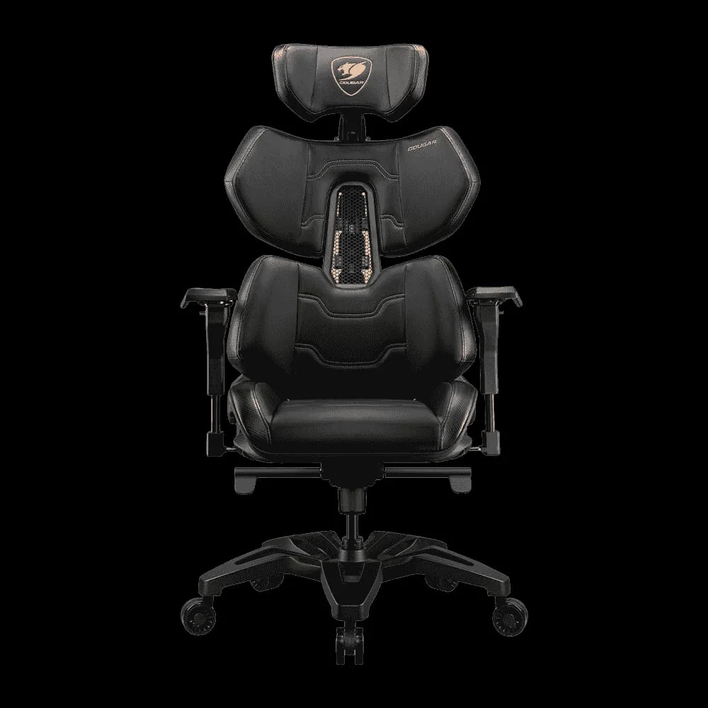 Cougar Terminator $740 2