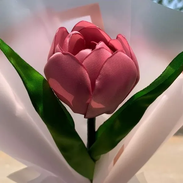 Tulipanes 🌷