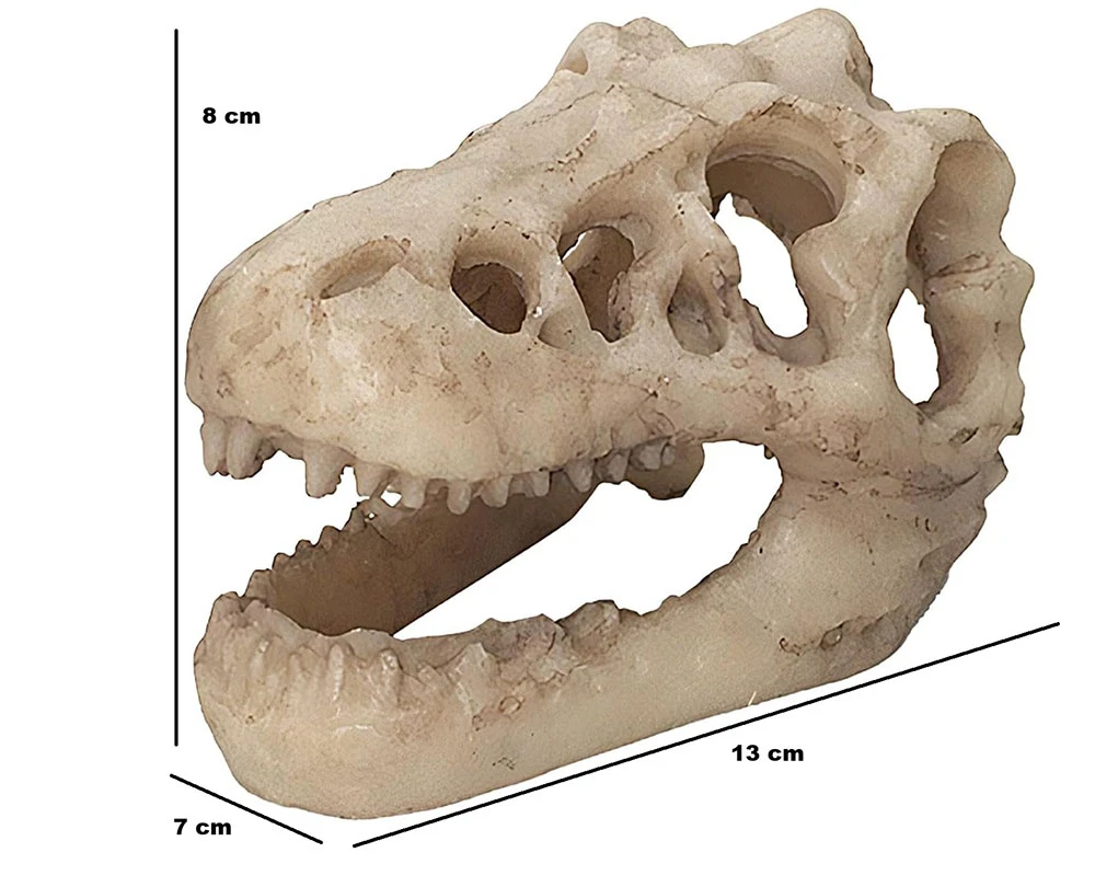 cm*Adorno de Resina Cabeza de Dinosaurio Aq-272 2