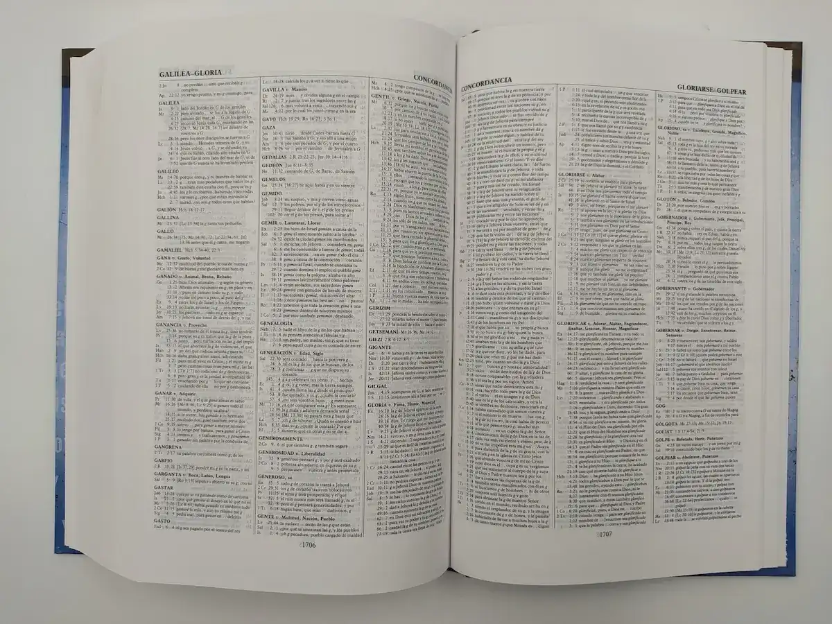 Biblia de referencia Thompson RVR60 4