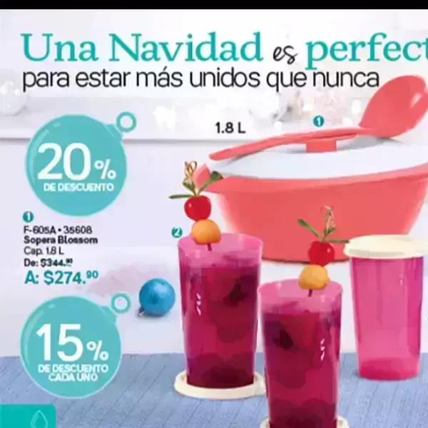Una navidad perfecta