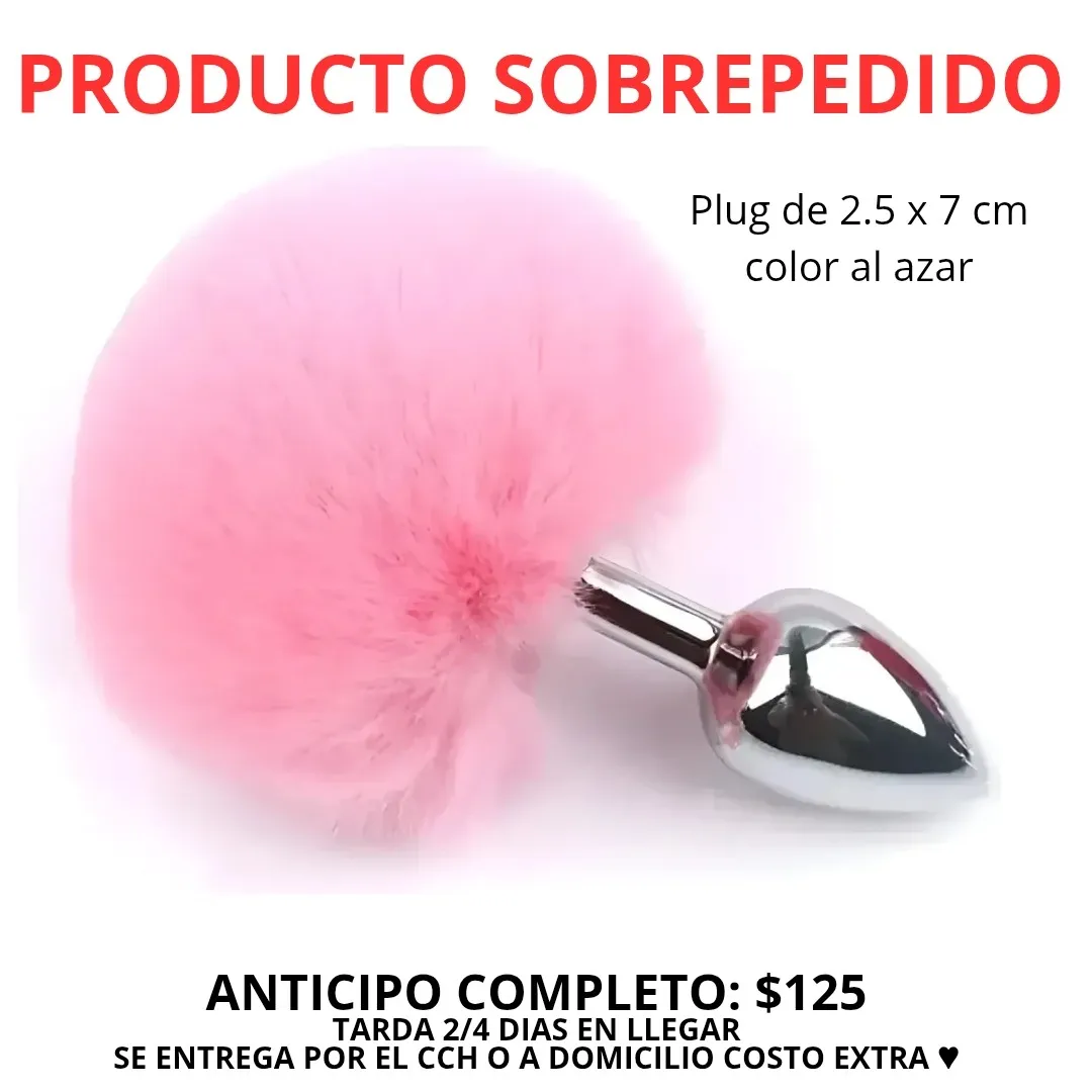 plug conejo 