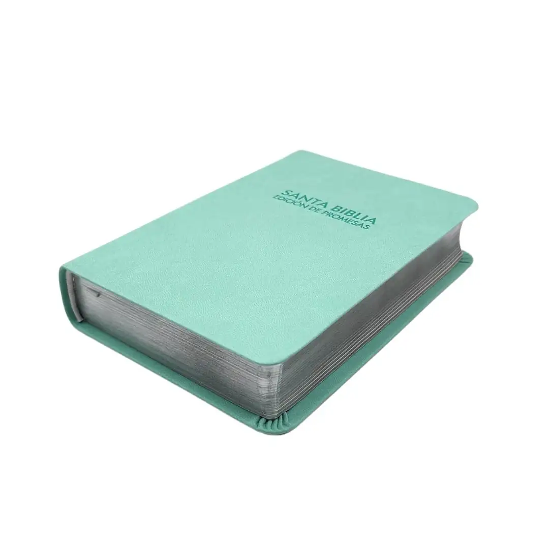 Biblia RV60 promesas Compacta Piel especial Menta