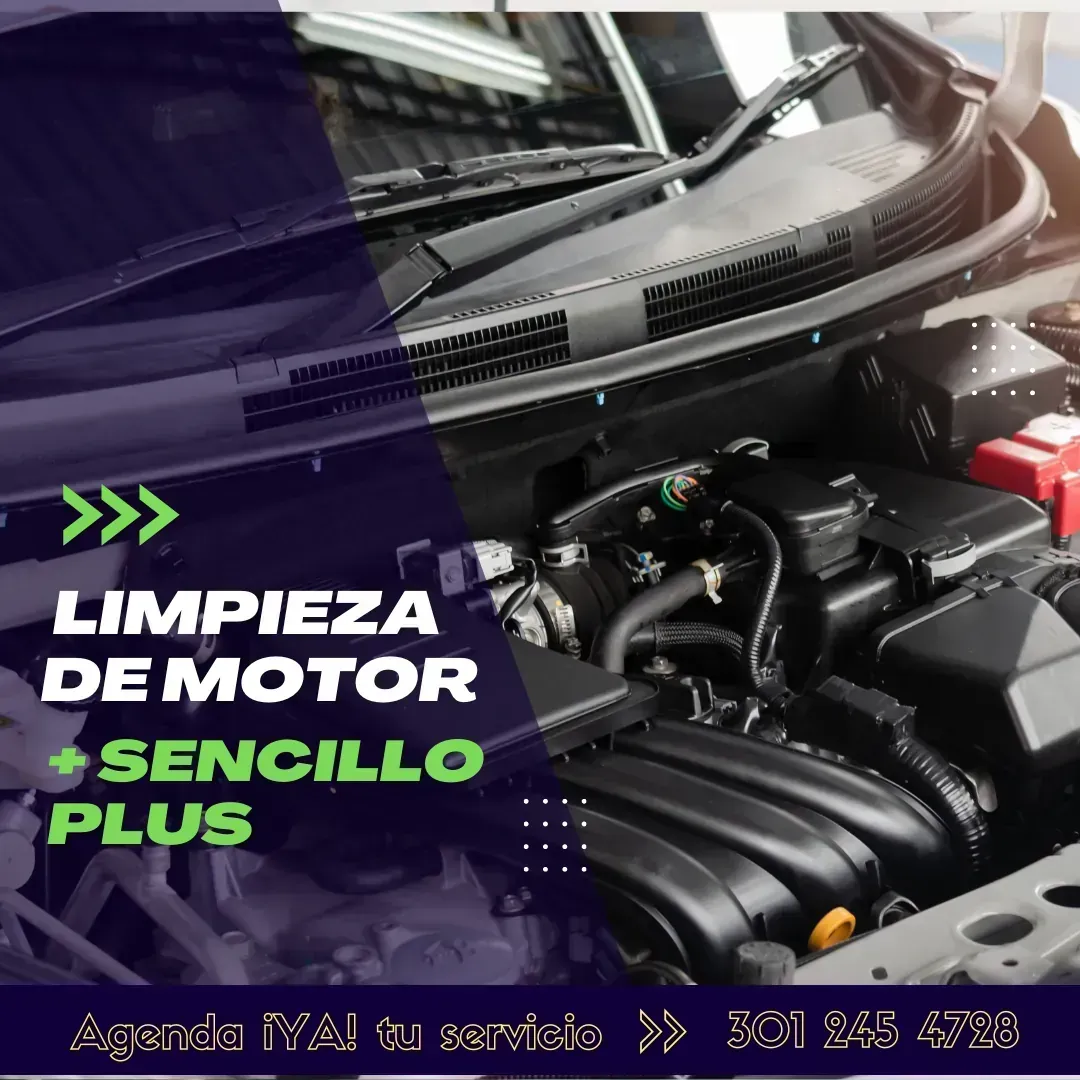 Lavado y Limpieza de Motor