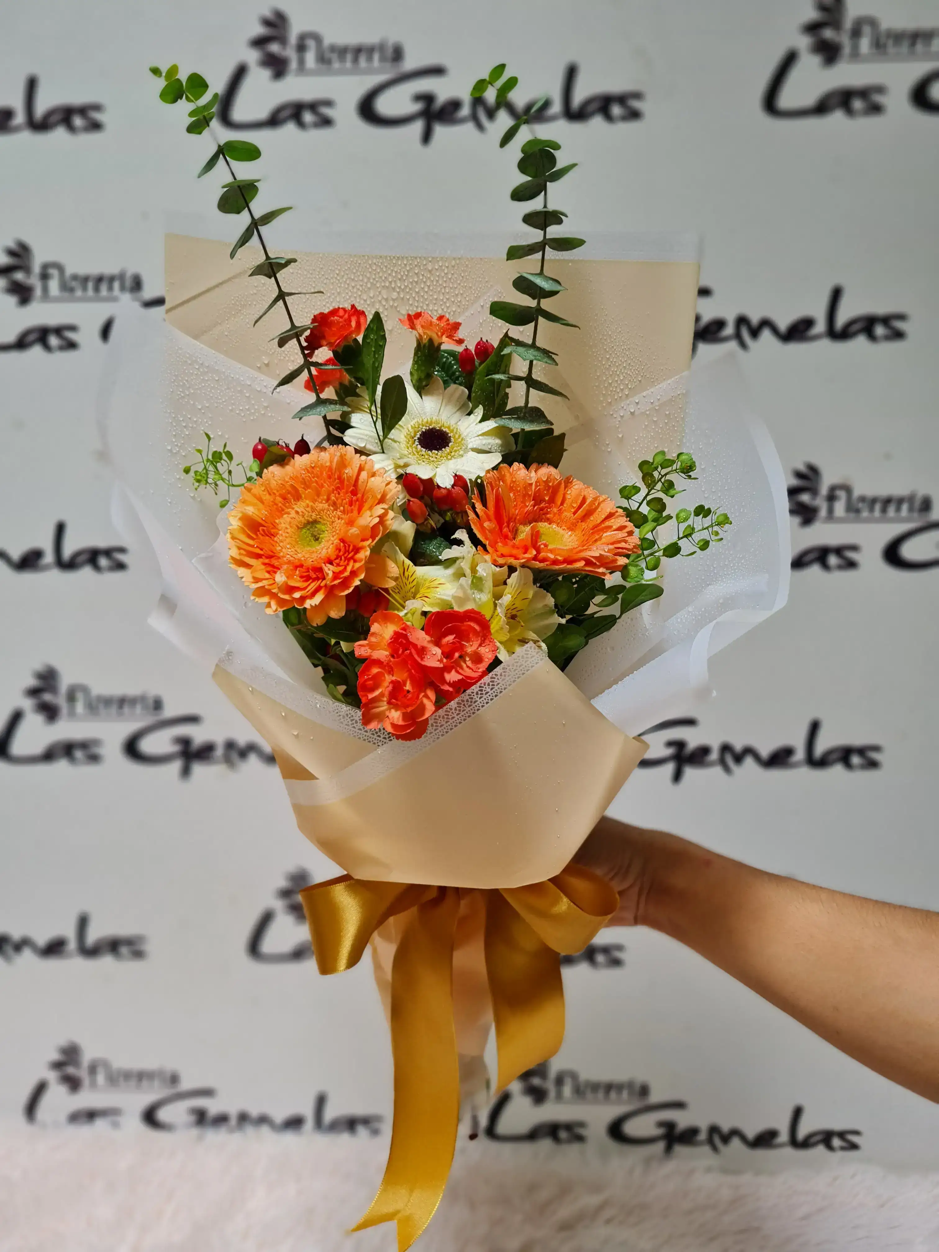 Ramo de gerberas y variedades