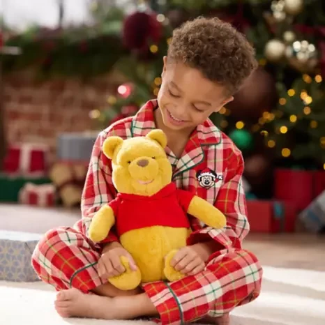 Peluche de Winnie the Pooh