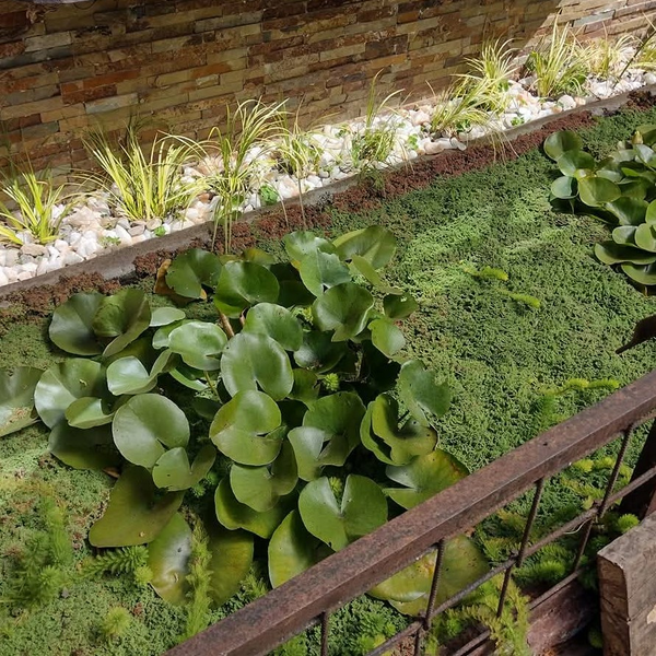 Jardinería y Paisajismo