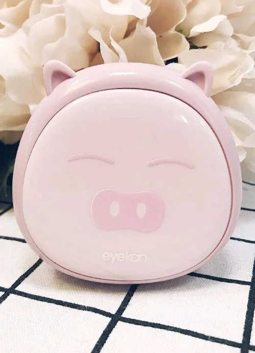 estuche de cerdito