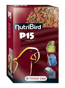 P15 ORIGINAL  2