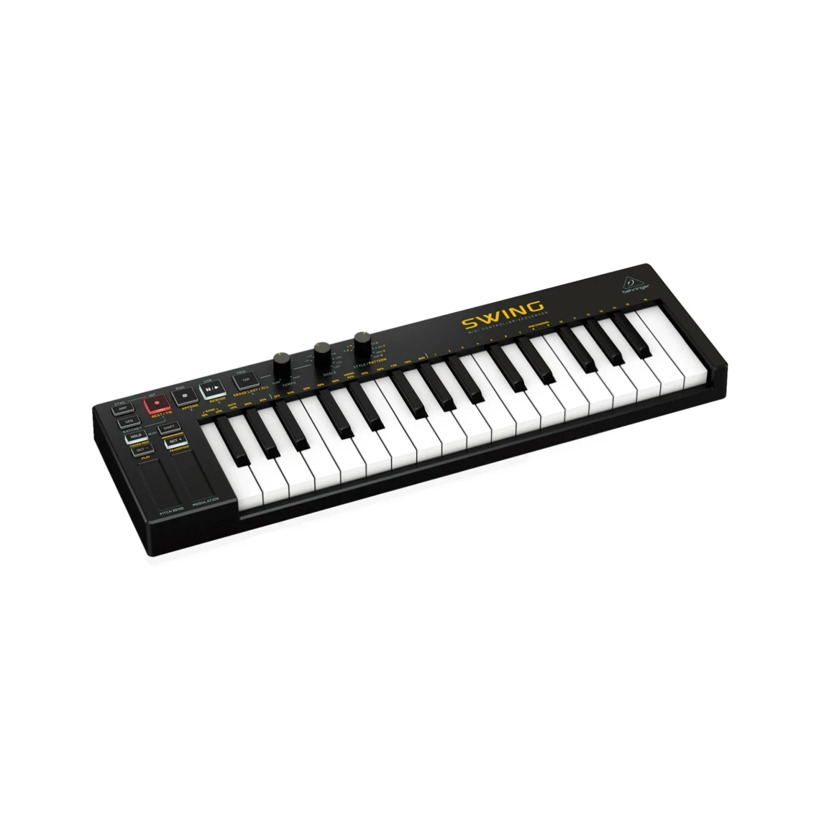 SWING BEHRINGER 2