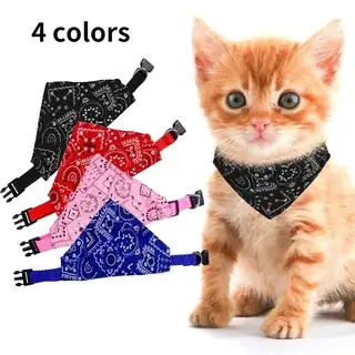 PAÑUELOS CON COLLAR