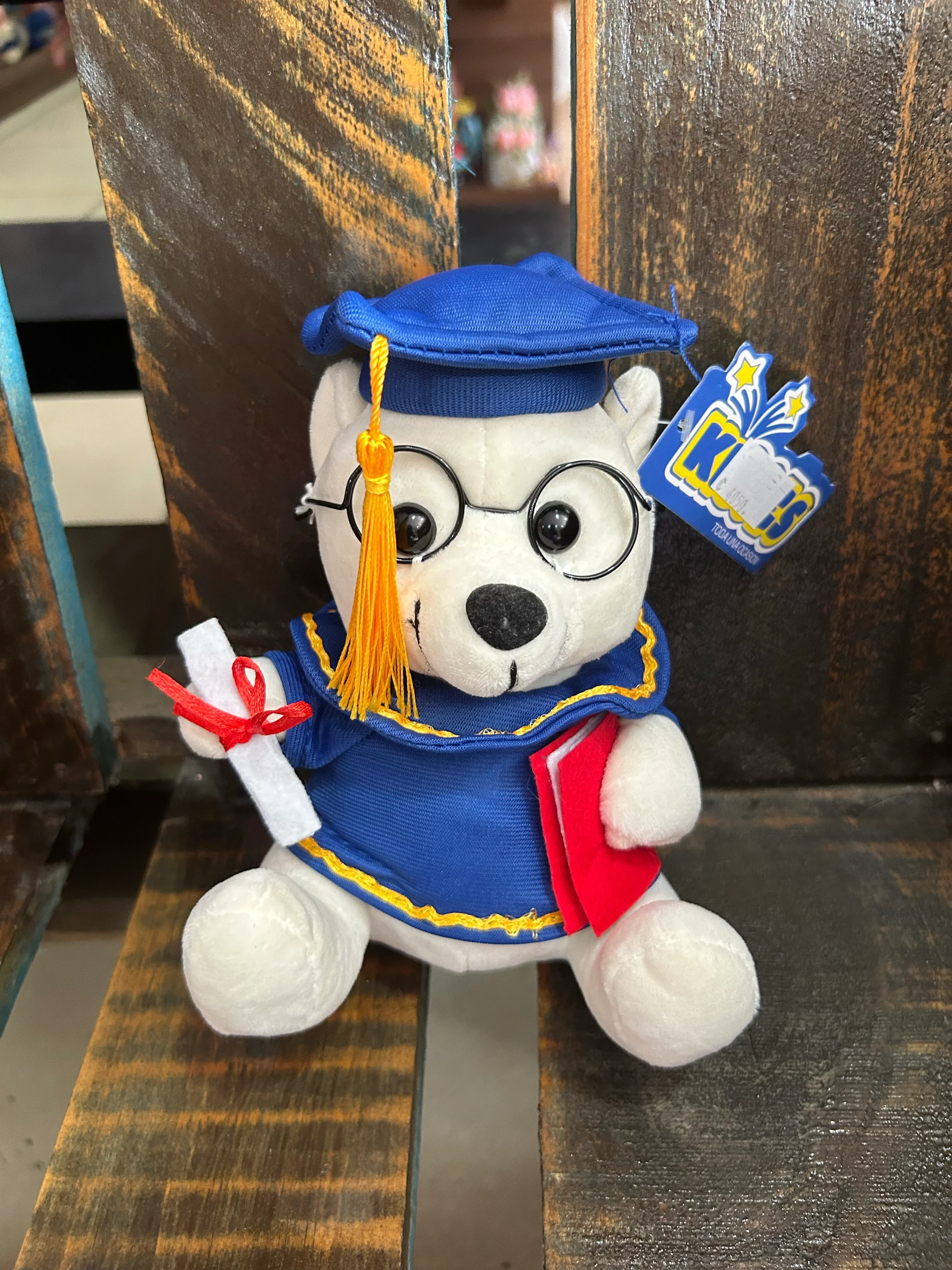 Peluche graduación 