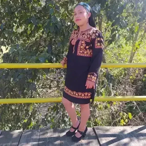 👗 Vestido con bordados típicos