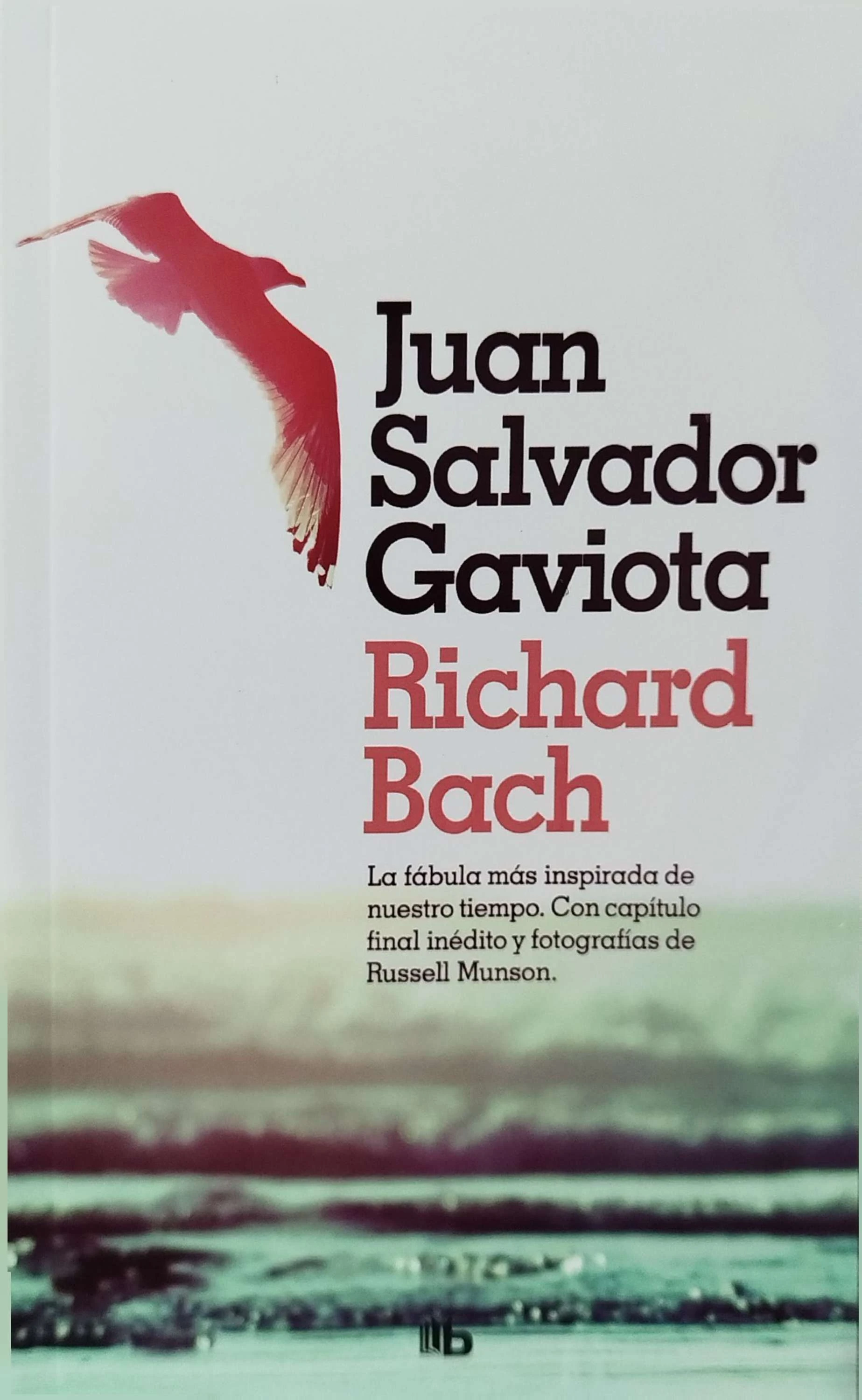 JUAN SALVADOR GAVIOTA 
