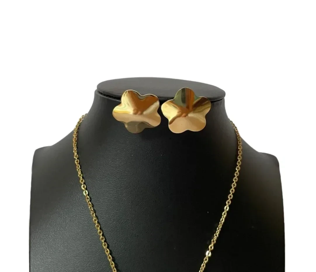 CONJUNTO DE ACERO 316 2