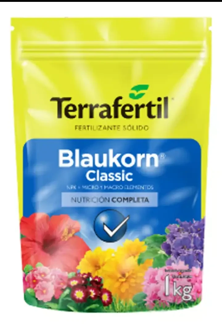 Blaukorn
