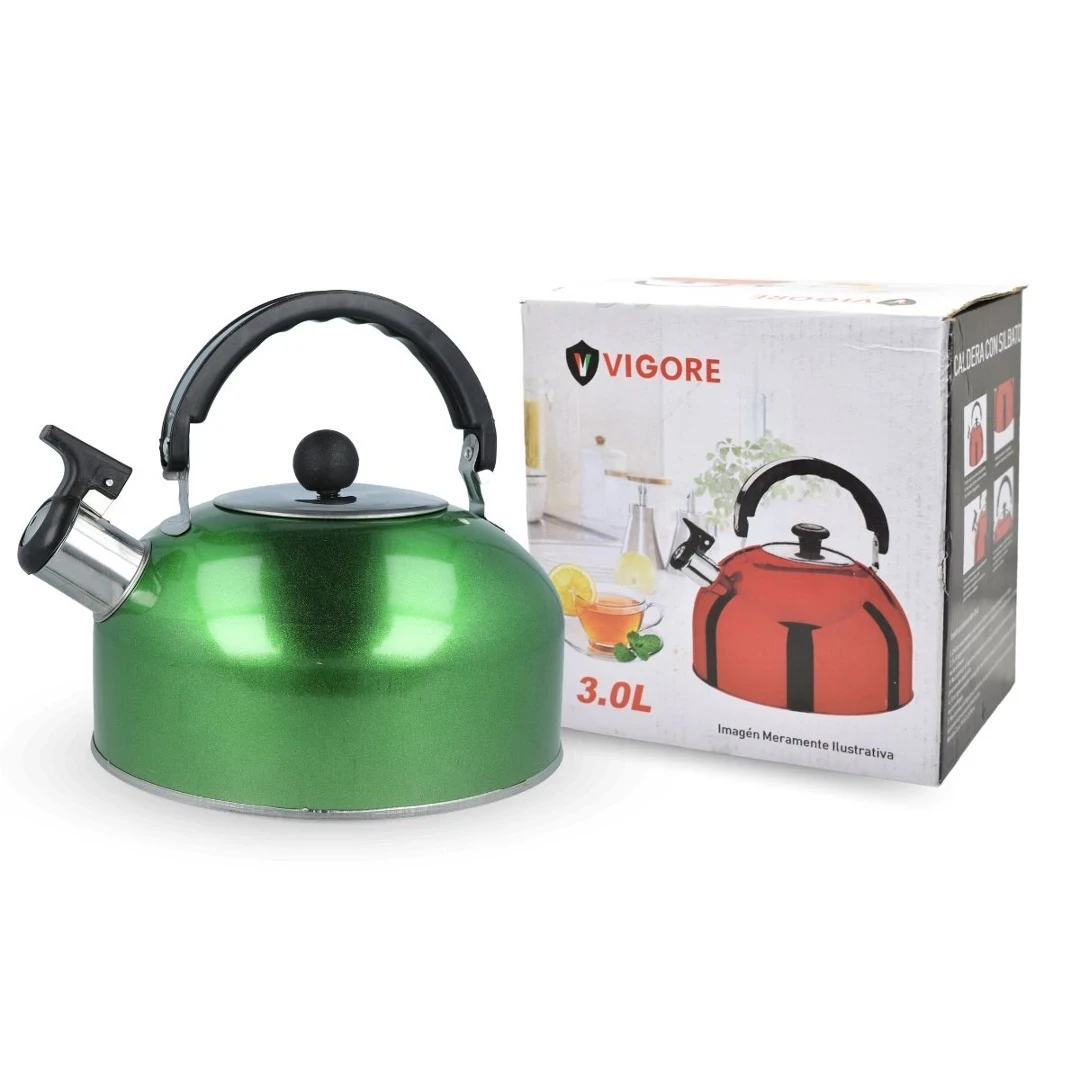 Caldera de Acero Inoxidable 3L 2