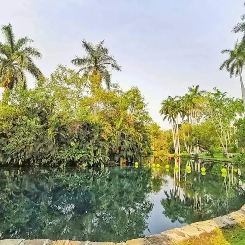 PARQUE NATURAL LAS ESTACAS, MOR, CAMPING 2