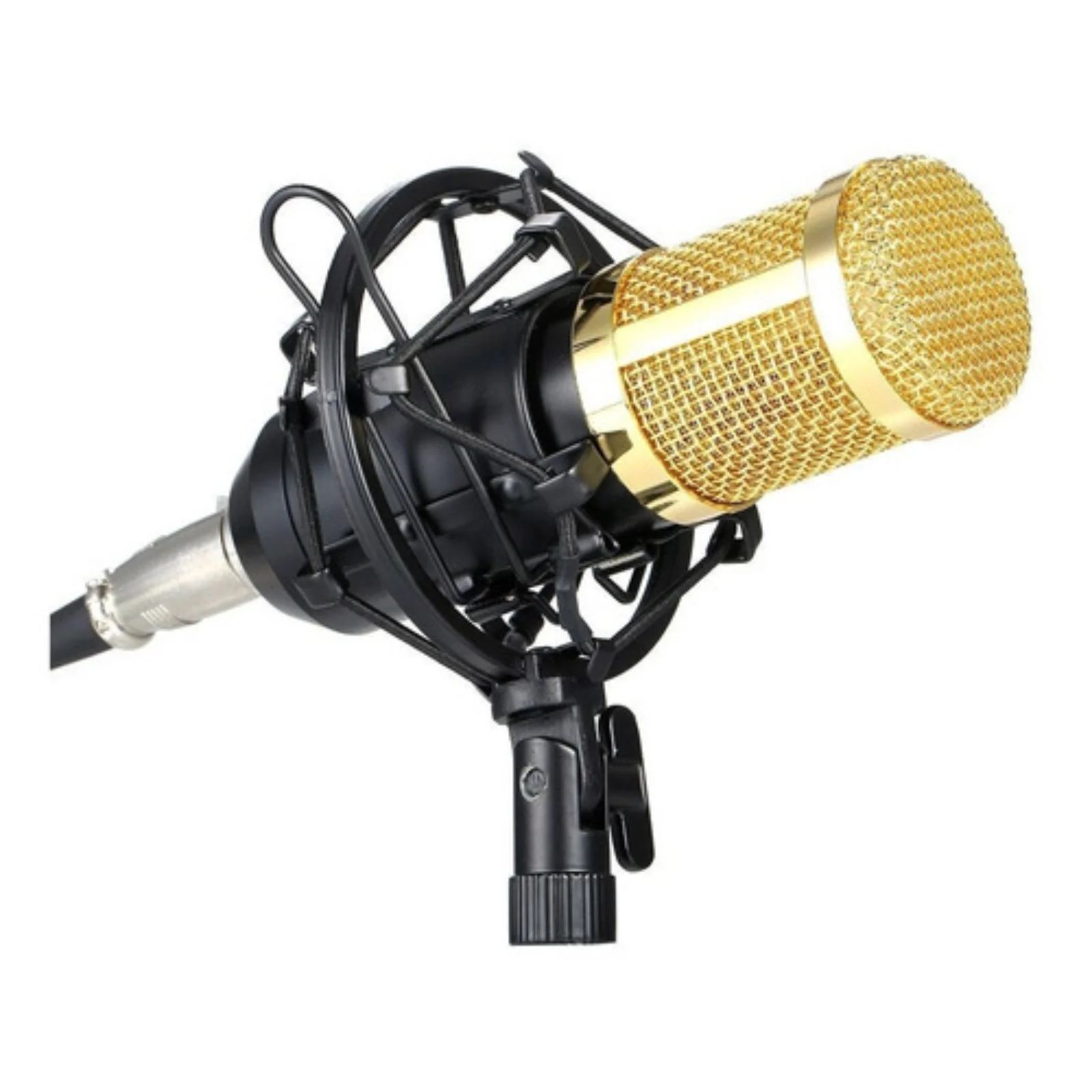 Microfono Condensador BM Con Soporte  6