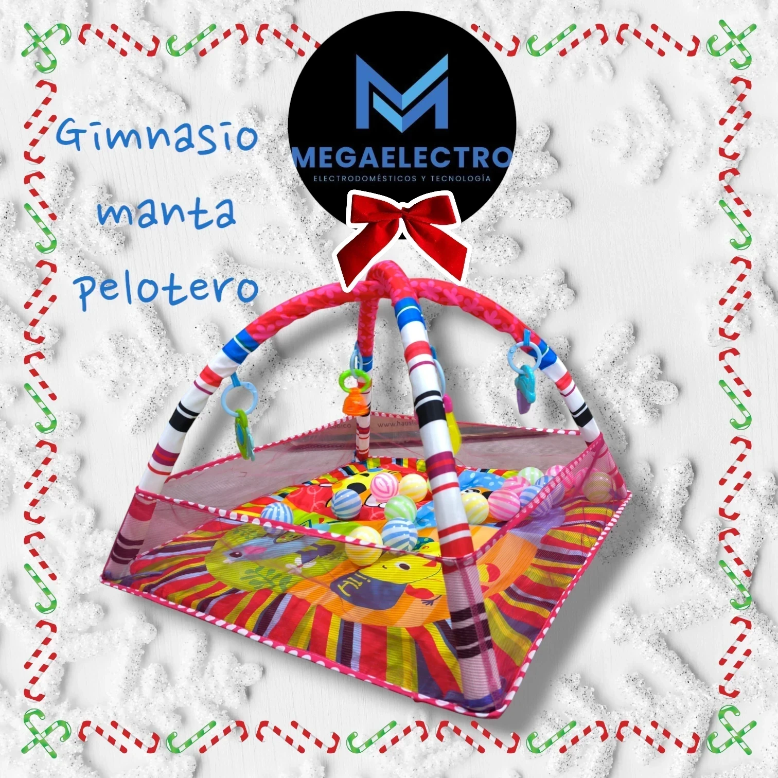 GIMNASIO MANTA PELOTERO 2