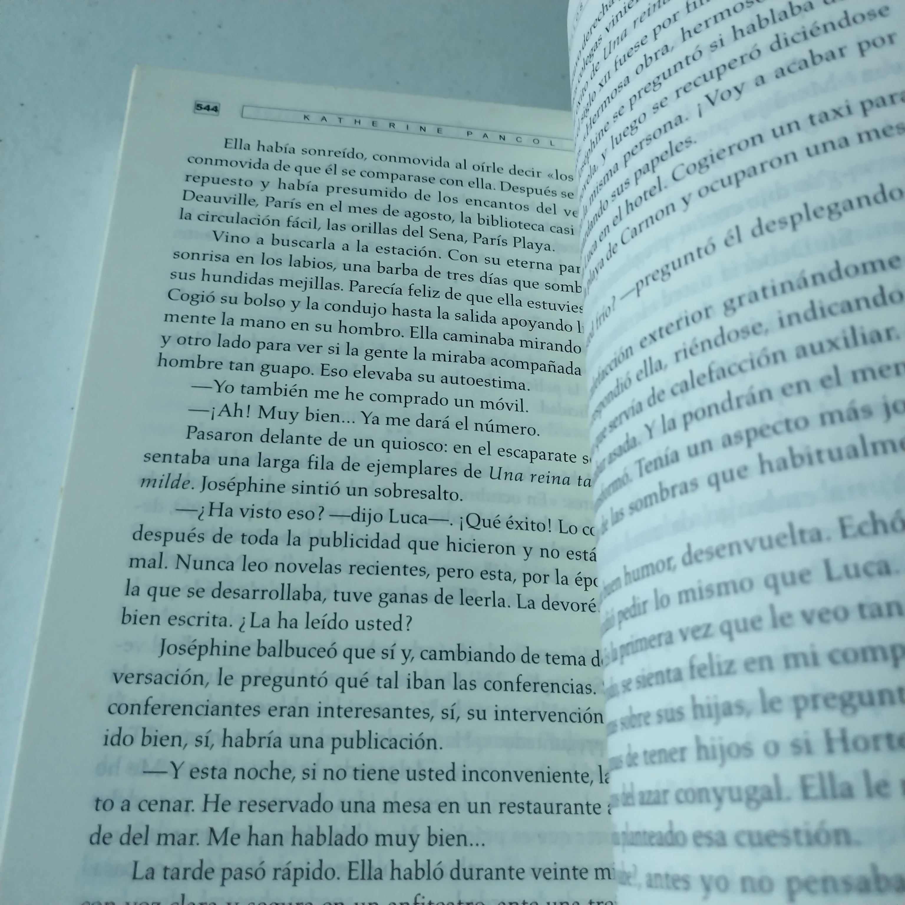 Los ojos amarillos de los cocodrilos, Katherine Pancol, usado 3