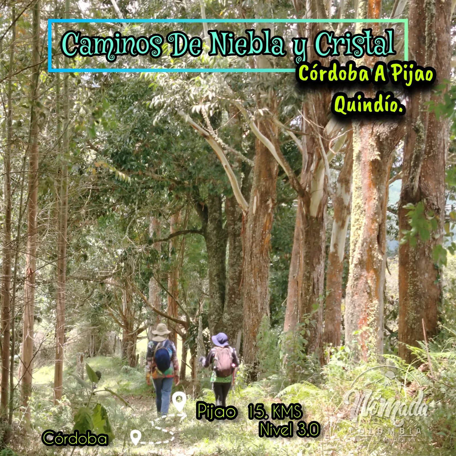 "Caminos De Niebla y Cristal"  La Ruta Del Oso Hacia El Corazon De Pijao Quindio.