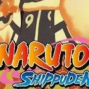 SERIE: NARUTO T. 17 /20