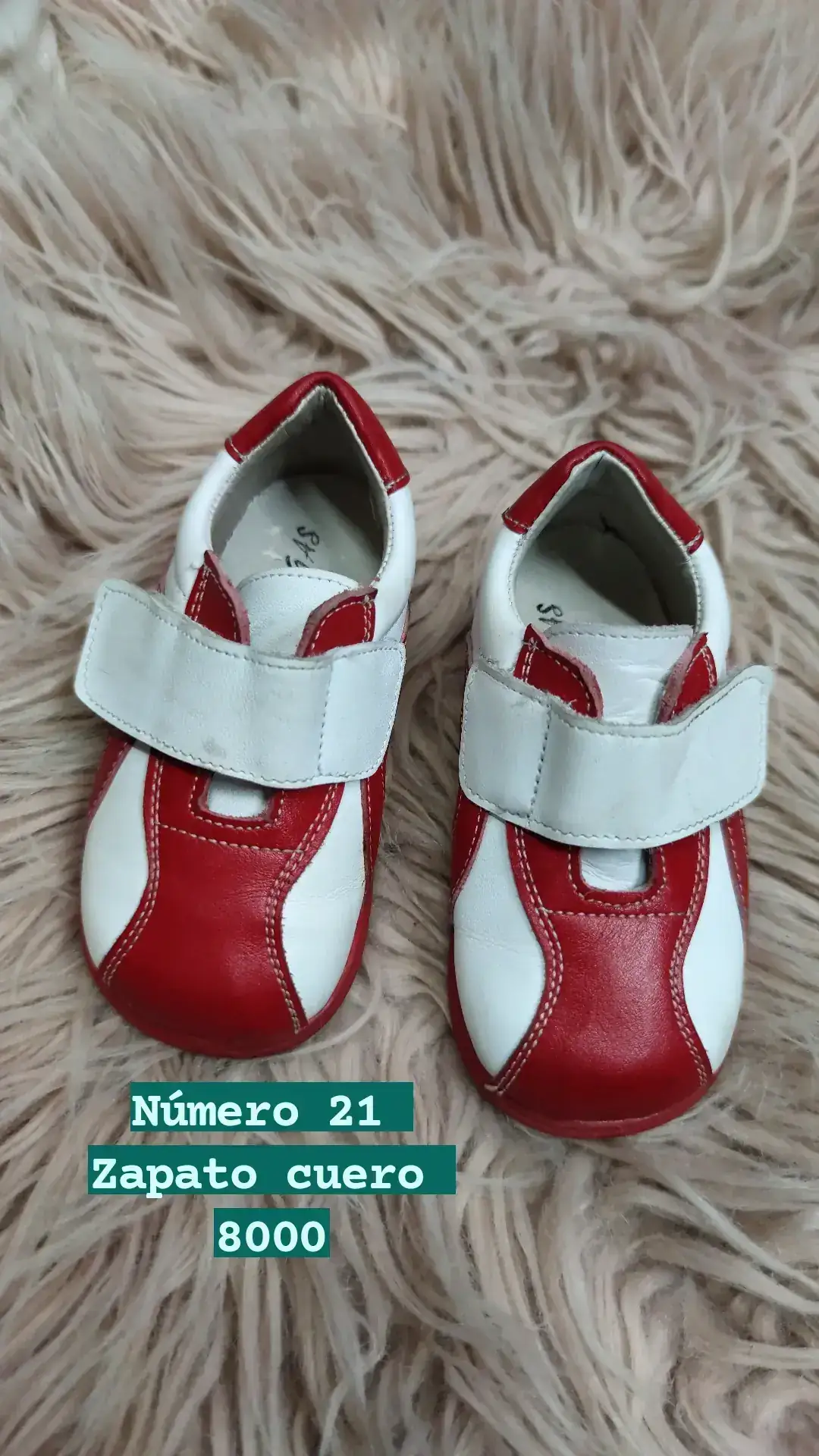 Zaato niño N21